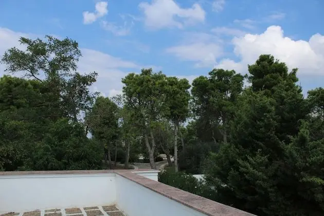 Comfort Ev (Casetta 1)