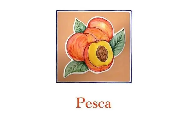 Basic Apart Daire, 2 Yatak Odası, Mutfak, Avlu