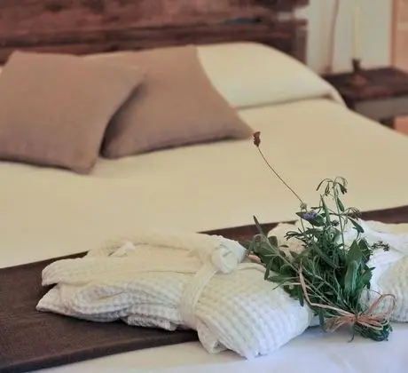 Deluxe Tek Büyük veya İki Ayrı Yataklı Oda