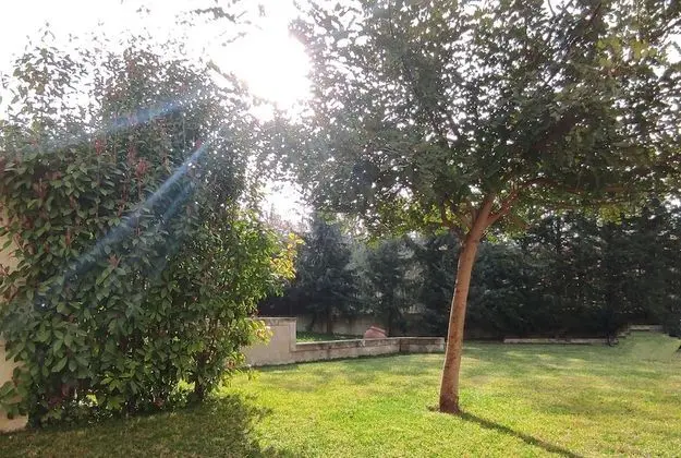 Superior Süit, 1 Büyük (Queen) Boy Yatak