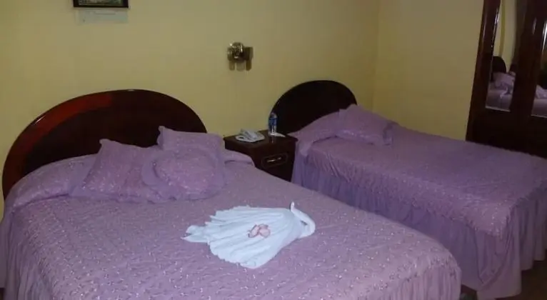 Standard Tek Büyük Yataklı Oda, Birden Çok Yatak, Özel Banyo, Şehir Manzaralı