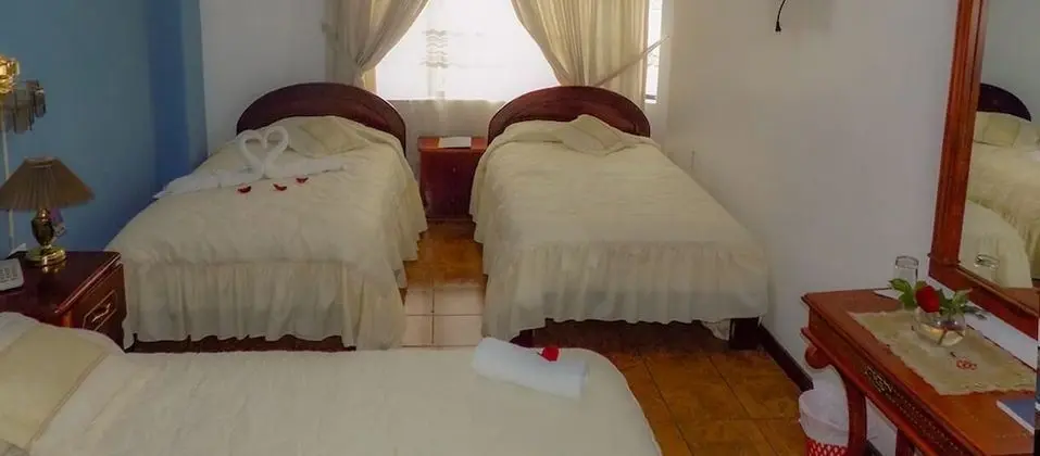 Standard Tek Büyük Yataklı Oda, Birden Çok Yatak, Özel Banyo, Şehir Manzaralı