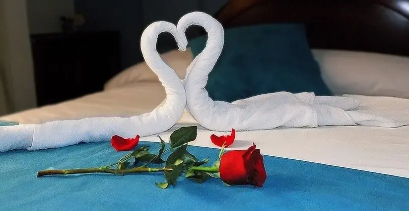 Standard Tek Kişilik Oda, Banyolu/Duşlu, Şehir Manzaralı