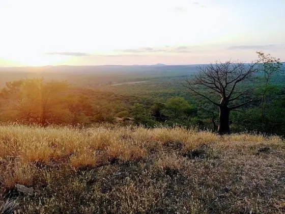 Family Oda, Dağ Manzaralı