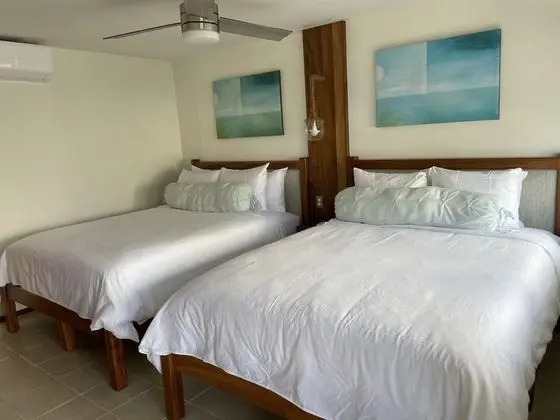 Oda, Havuz Kullanımı, Okyanus Manzaralı (Pool Deck Room)