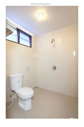 Standart, Bahçe Manzaralı