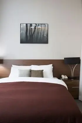 Deluxe Tek Büyük Yataklı Oda, 1 Çift Kişilik Yatak
