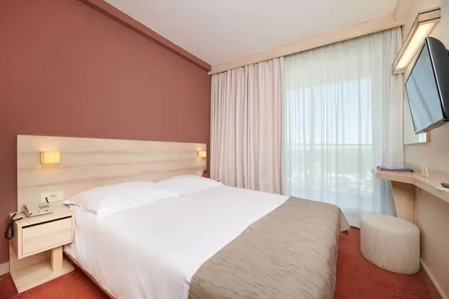 Classic Tek Kişilik Oda, Balkon, Park Manzaralı