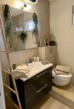Superior Tek Büyük Yataklı Oda, Özel Banyo