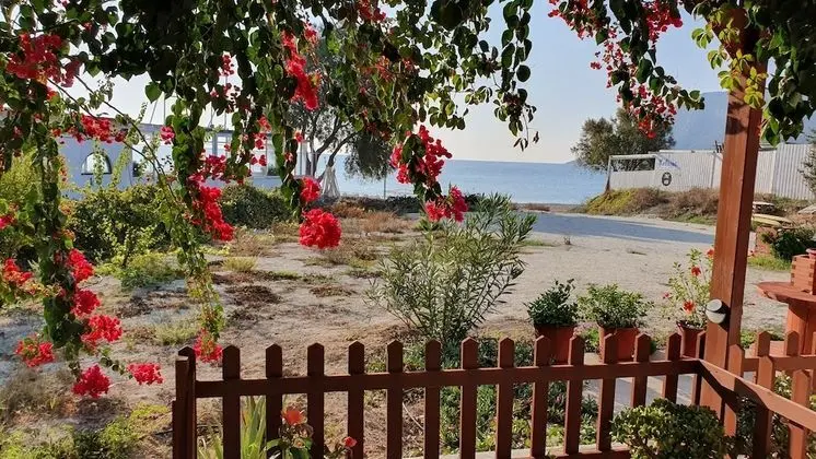 Stüdyo