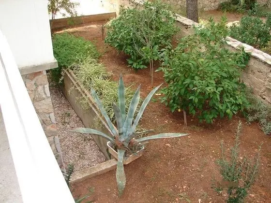 Apart Daire (Matkov - quite and peaceful location )