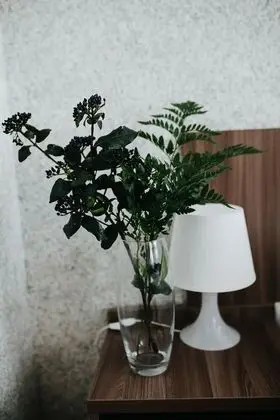 Comfort Tek Büyük veya İki Ayrı Yataklı Oda