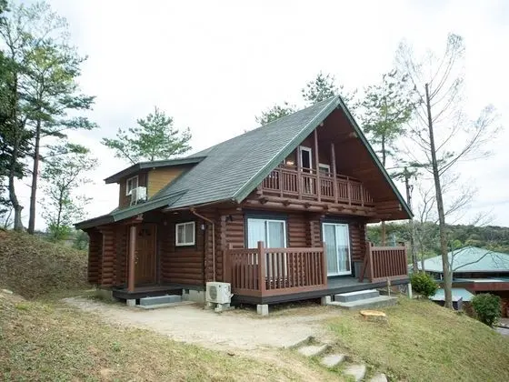 Ev (Log House)