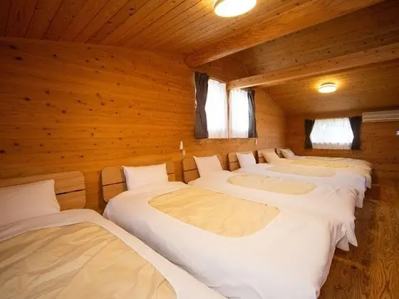 Ev (Log House)