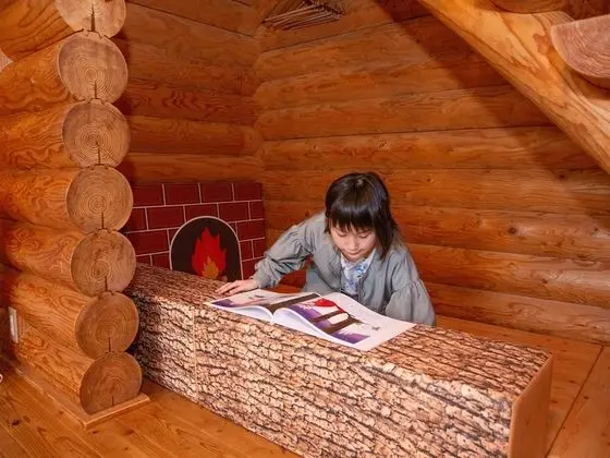 Ev (Log House)