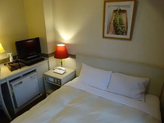 Tek Büyük Yataklı Oda, Sigara İçilmez