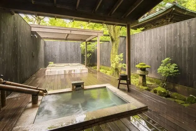 Luxury Oda, Özel Banyo (Tatami Area, Private Open-Air Bath)
