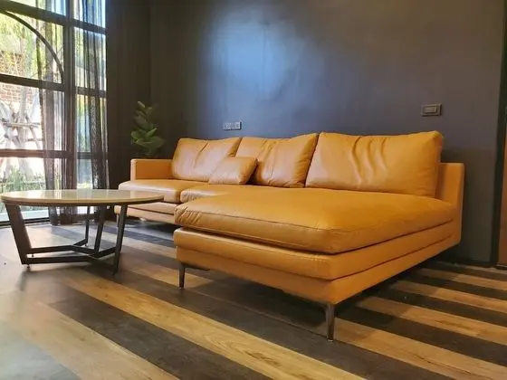 Design Süit