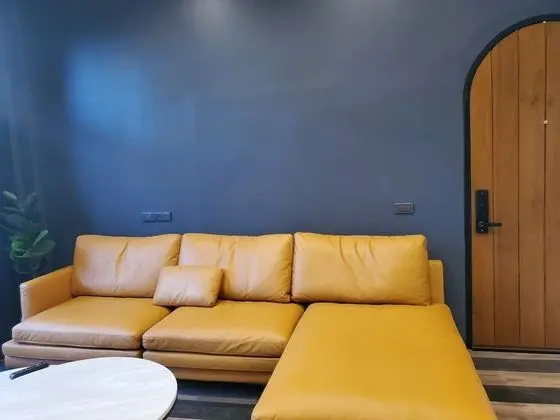 Design Süit