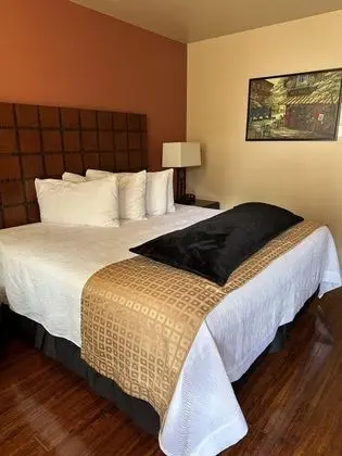 Deluxe Oda