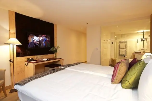 Tek Büyük Yataklı Oda, Dağ Manzaralı (Matterhorn)