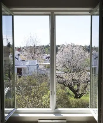 Superior Tek Büyük Yataklı Oda, Bahçe Manzaralı