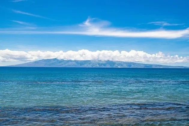 Daire, 2 Yatak Odası