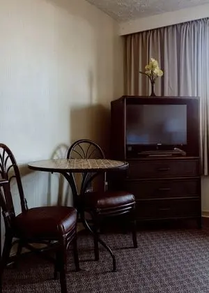 Oda, Havuz Kenarı (Three Beds)