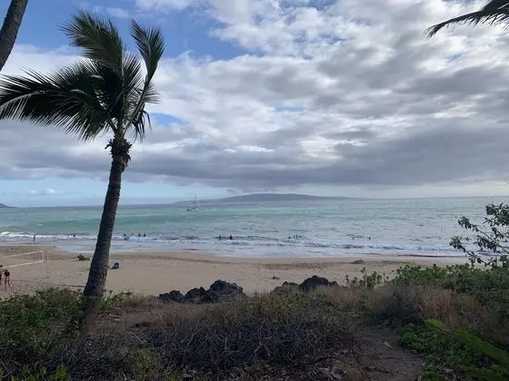 Daire (Maui Vista 1218)