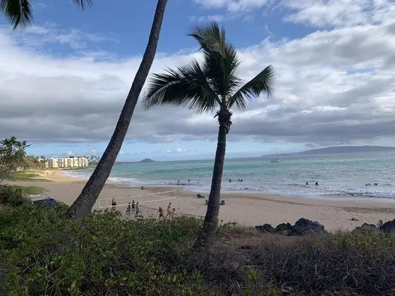 Daire (Maui Vista 1218)