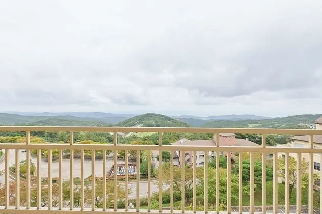 Oda
