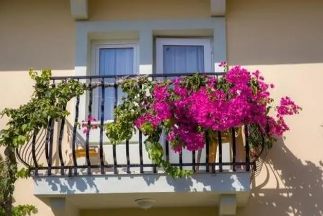 Tek Kişilik Oda Standard