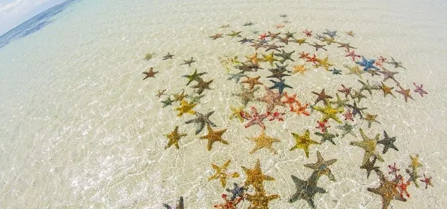 Dağ Evi, 2 Yatak Odası