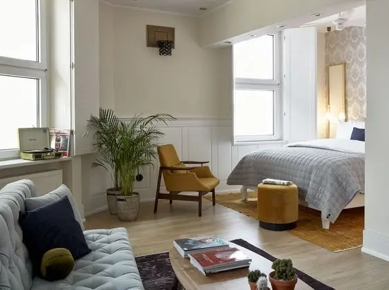 Çatı Katı (Loft)