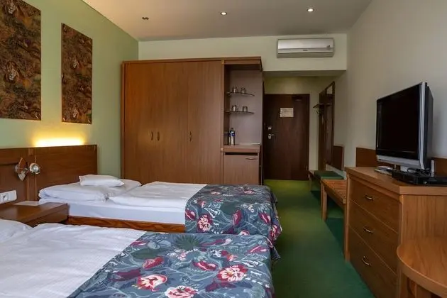 Comfort İki Ayrı Yataklı Oda, 2 Tek Kişilik Yatak, Sigara İçilmez