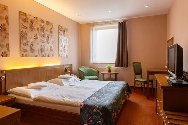 Comfort Tek Büyük Yataklı Oda, 1 En Büyük (King) Boy Yatak, Sigara İçilmez