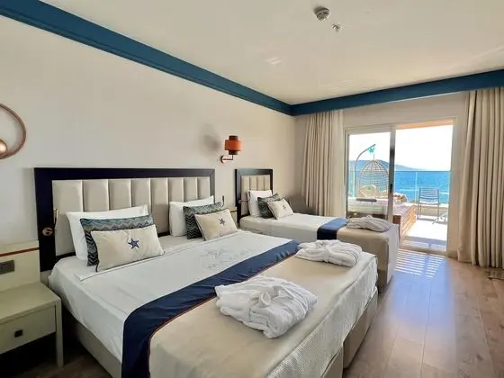 https://images.etstur.com/files/images/hotelImages/TR/212644/l/Maxeria-Blue-Didyma-Oda-374373.jpg