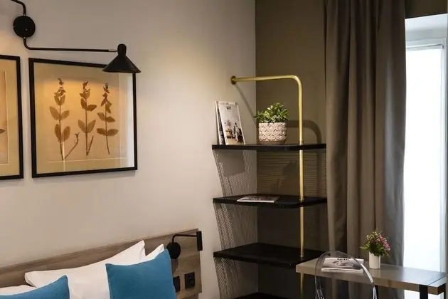 Superior Tek Büyük Yataklı Oda