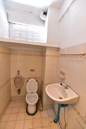 Süit
