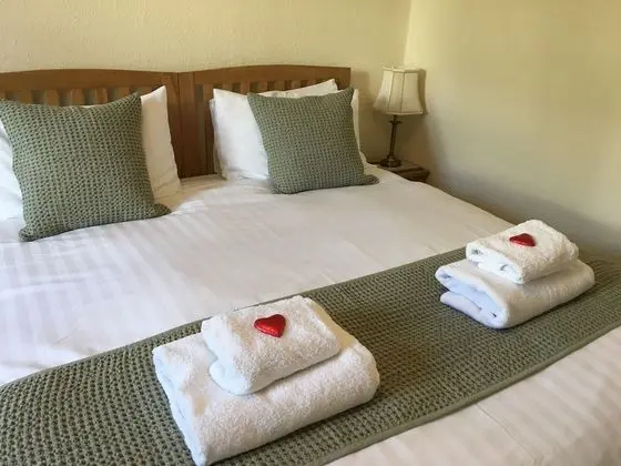 Deluxe Tek Büyük veya İki Ayrı Yataklı Oda