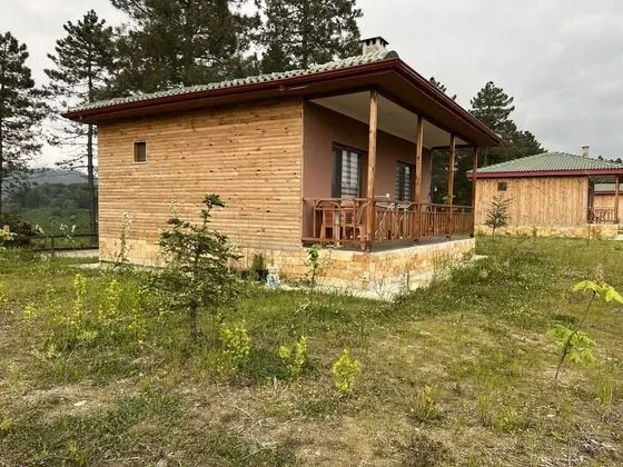 Family Villa