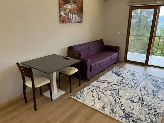 Family Villa