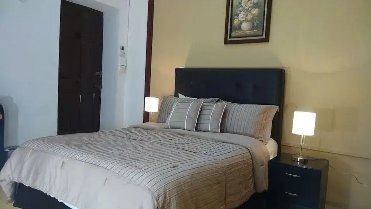 Standard Tek Büyük Yataklı Oda, 1 Çift Kişilik Yatak