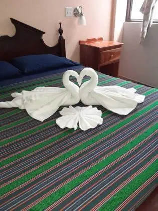 Deluxe Oda, 1 Büyük (Queen) Boy Yatak, Özel Banyo