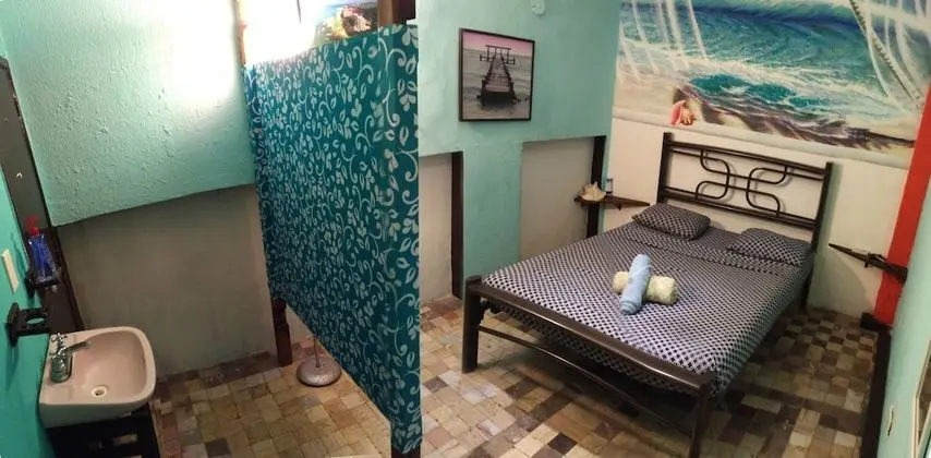 Tek Büyük Yataklı Oda, Özel Banyo (with AC)