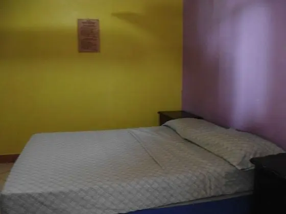 Standard Tek Büyük Yataklı Oda, 1 Çift Kişilik Yatak, Banyolu/Duşlu