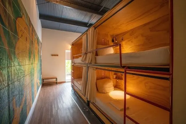 Bed in 6-Bed Mixed Dormitory Room