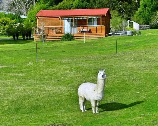 Family Kulübe, 2 Yatak Odası, Dağ Manzaralı