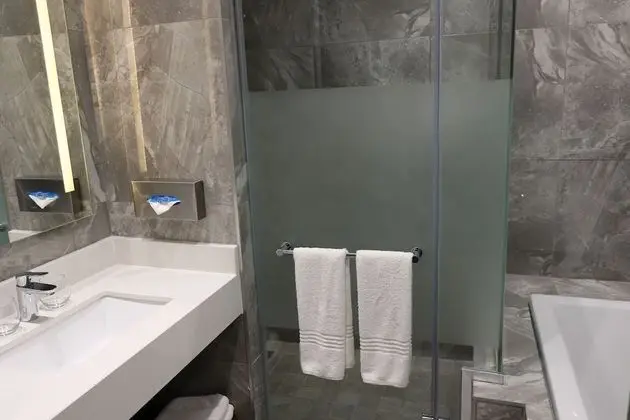 Presidential Süit, 1 Yatak Odası