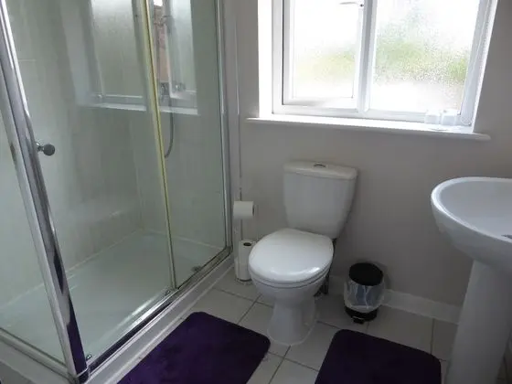 Tek Büyük Yataklı Oda, Özel Banyo (Thames)